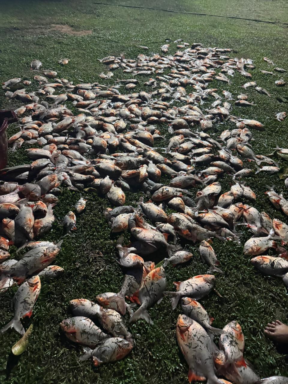 WhatsApp Image 2026-04-07 at 10.55.15 AM