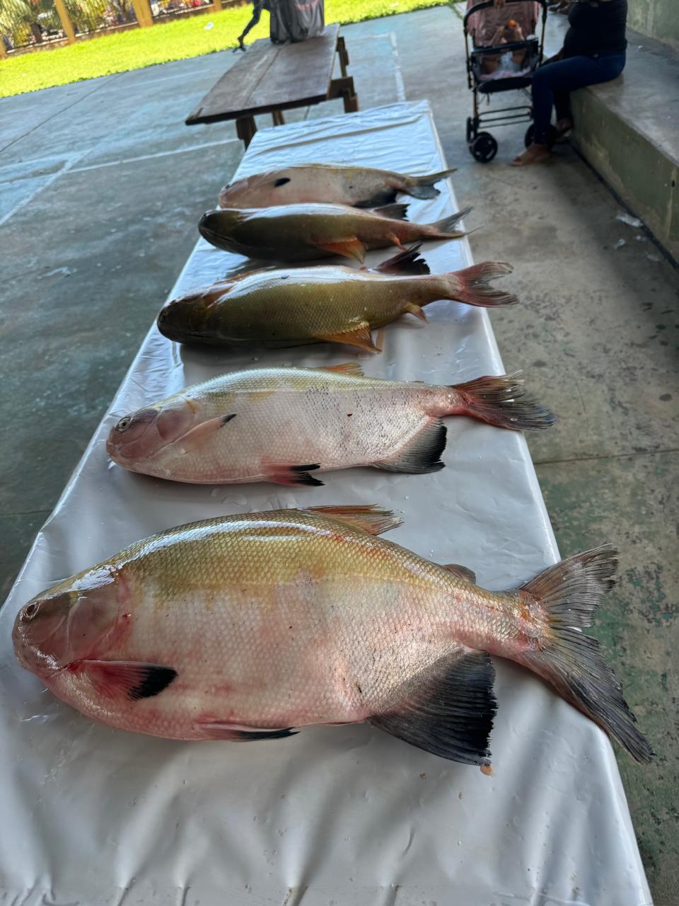 WhatsApp Image 2026-04-07 at 10.55.18 AM