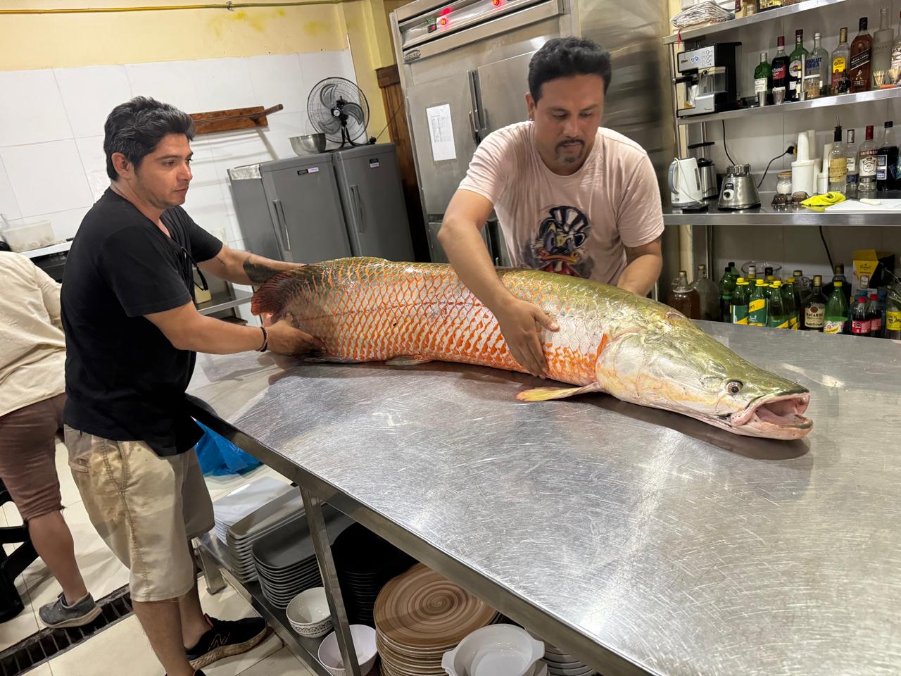 WhatsApp Image 2026-04-07 at 10.55.20 AM